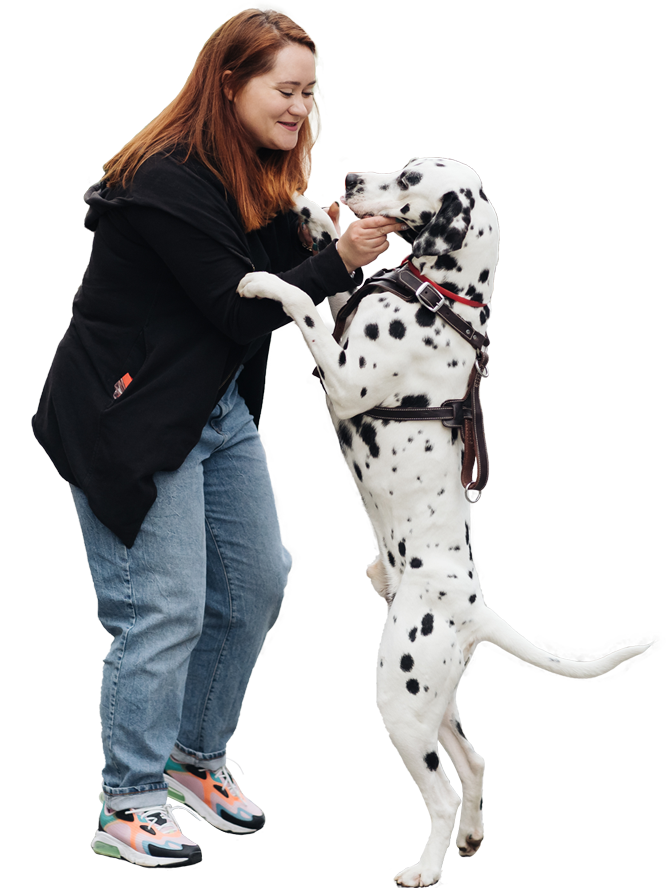 Woman having fun training her Dalmatian puppy